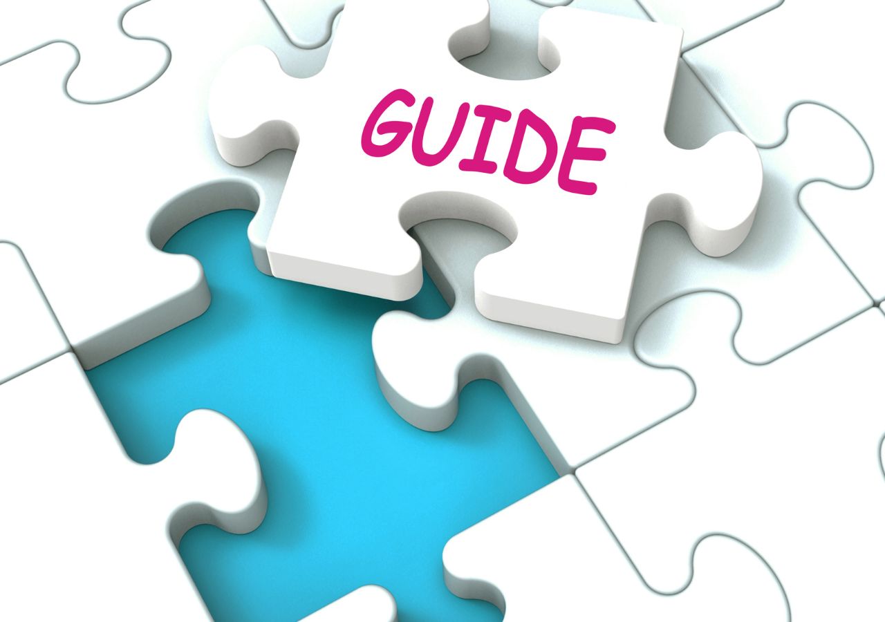 Licensed money lender guide